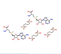 CAS :101020-79-5|Adémétionine 1,4-butanedisulfonate