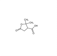 CAS :79-91-4|ACIDE TEREBIQUE