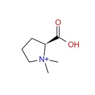 CAS : 471-87-4|N,N-Diméthyl-L-proline